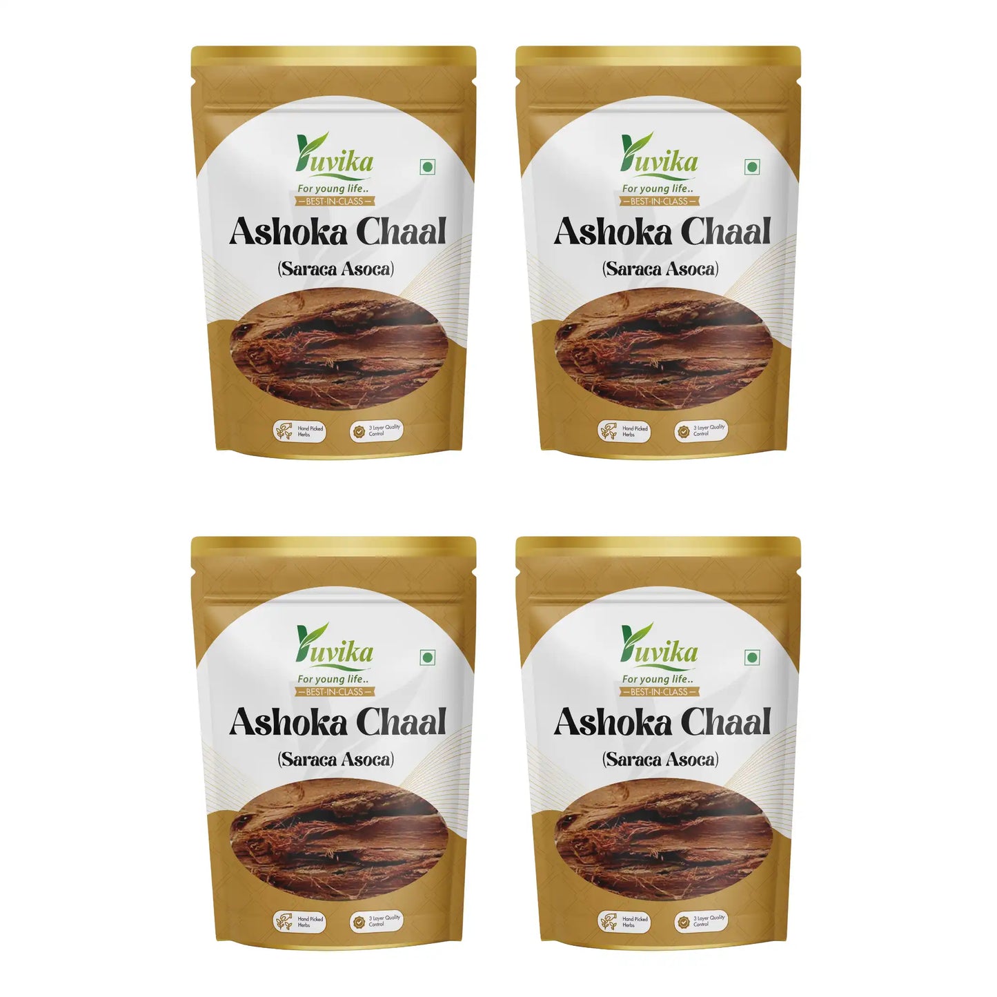 Ashoka Chaal