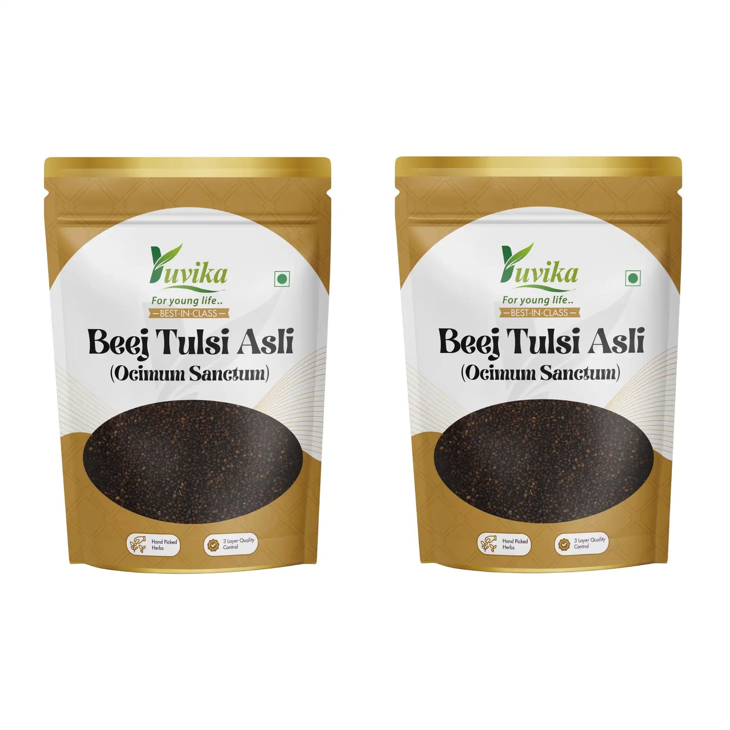 बीज तुलसी असली - कृष्ण तुलसी के बीज - ऑसिमम सैंक्टम - तुलसी के बीज