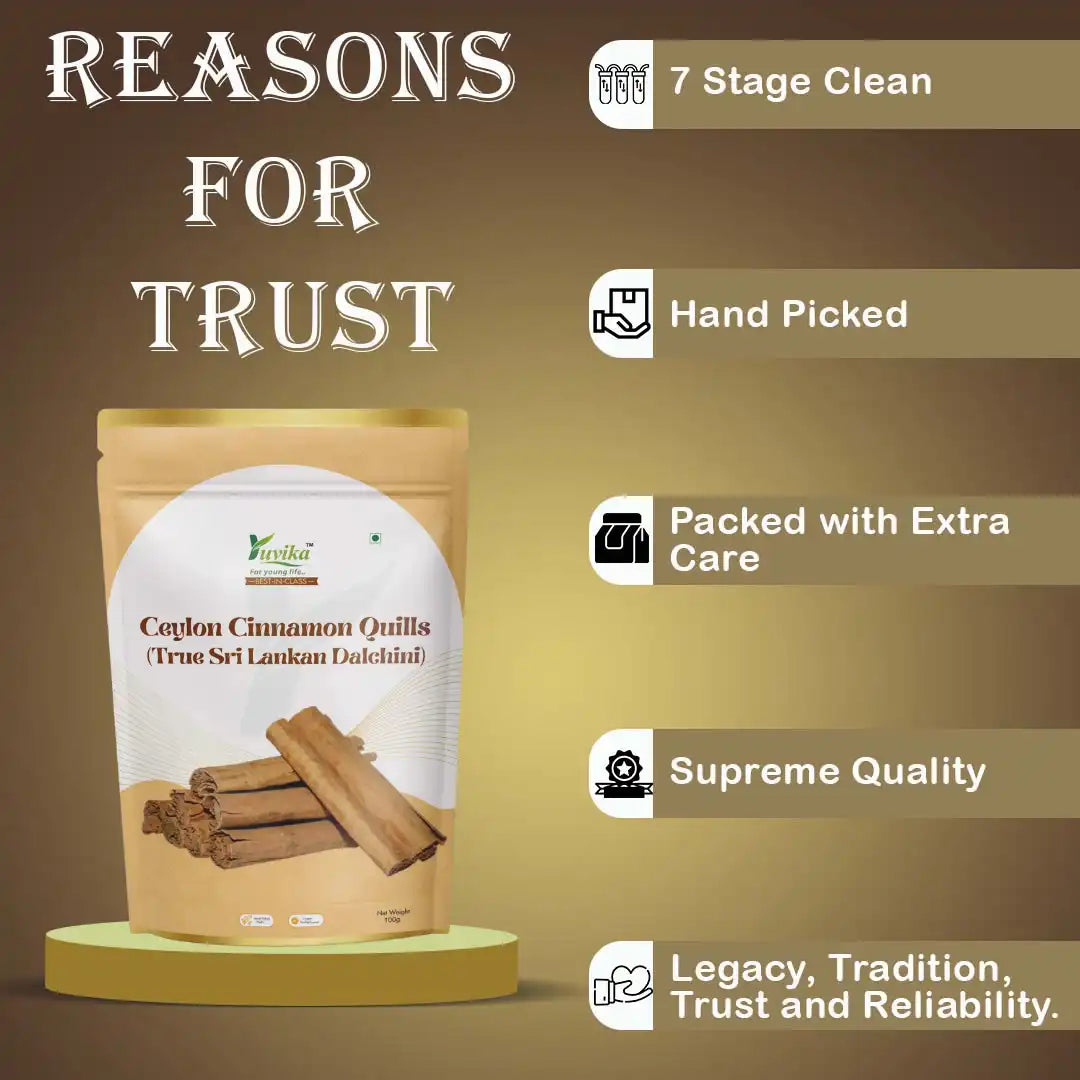 Cylone Dalchini Sticks