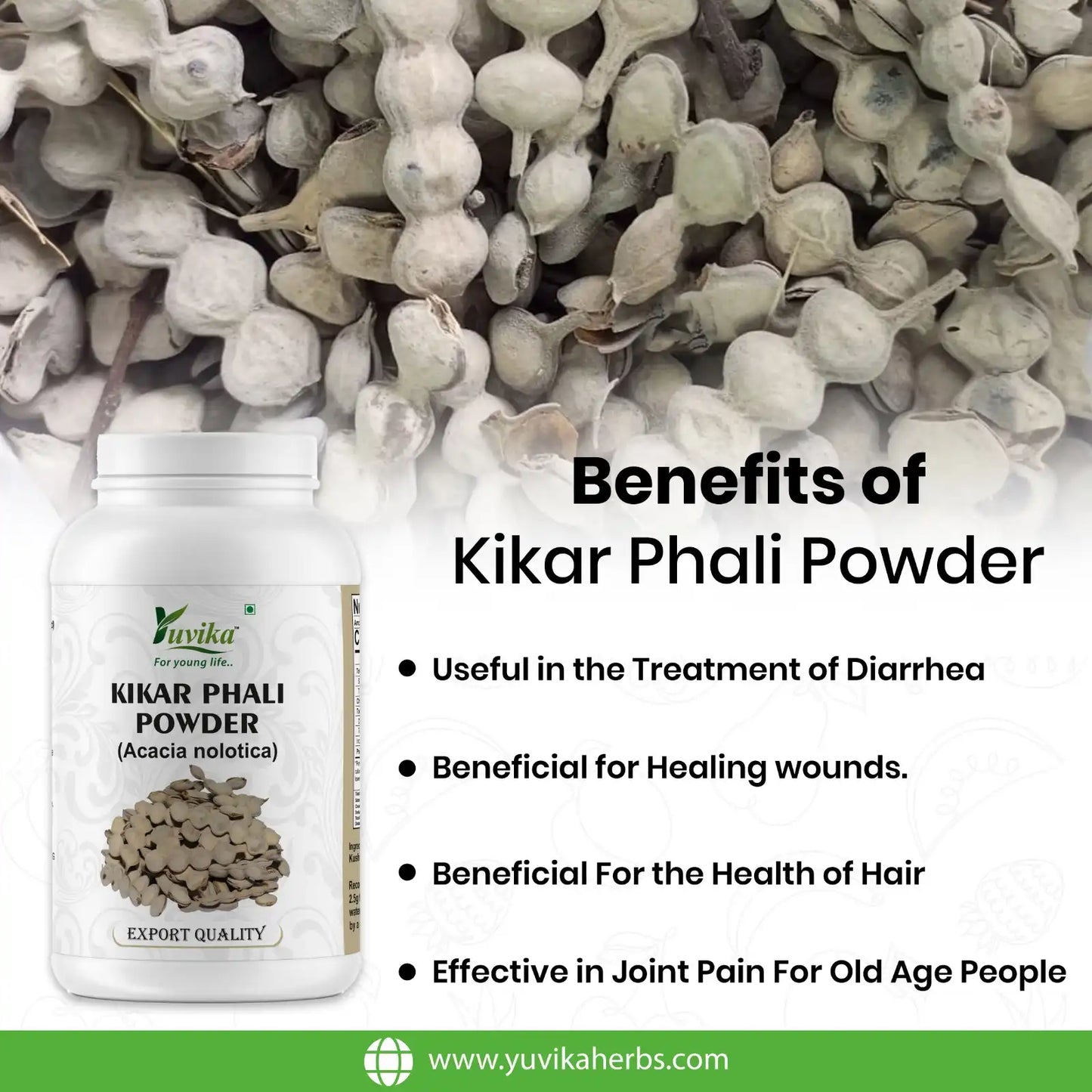 Kikar Phali Powder
