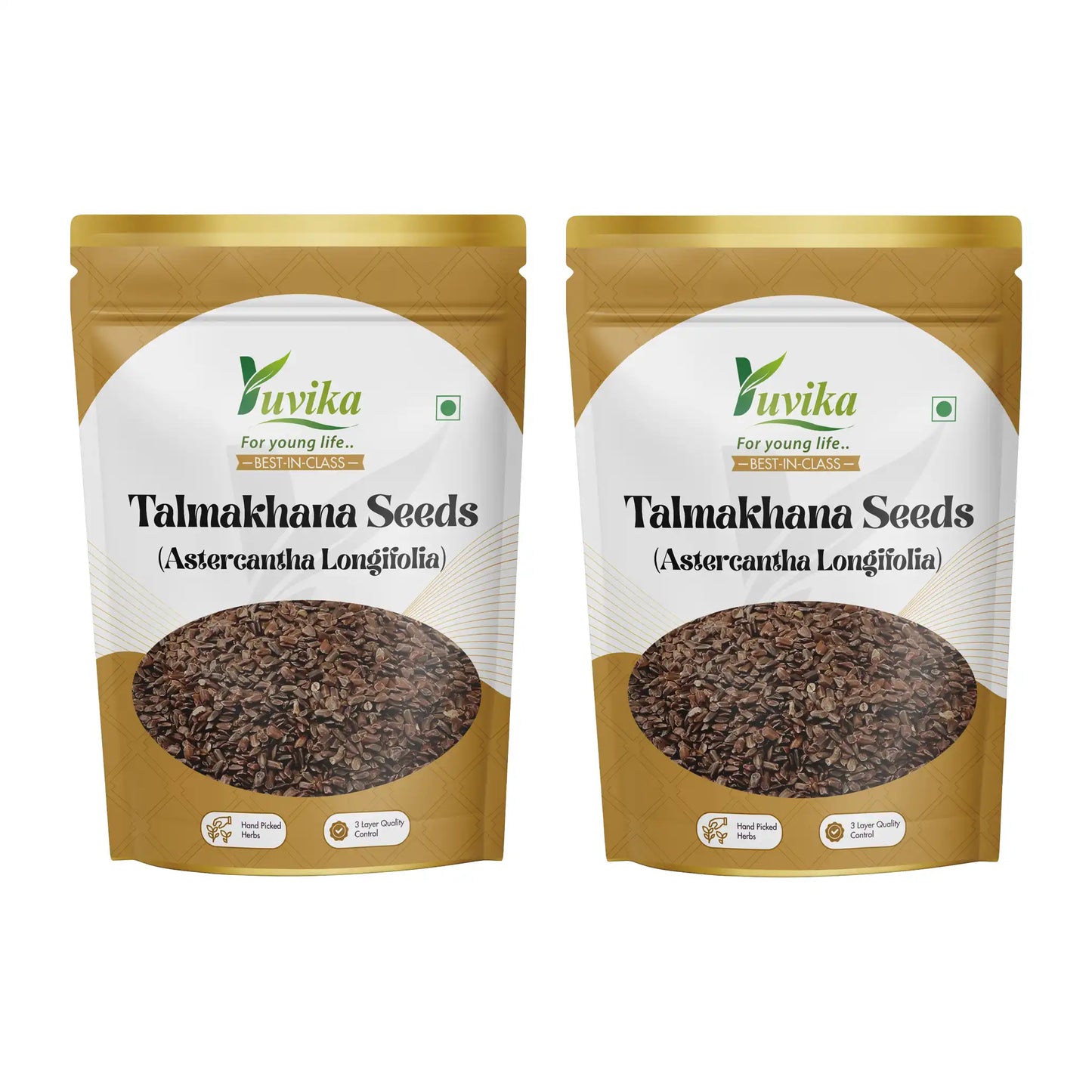 तालमखाना बीज - एस्टरकैन्था लोंगिफोलिया