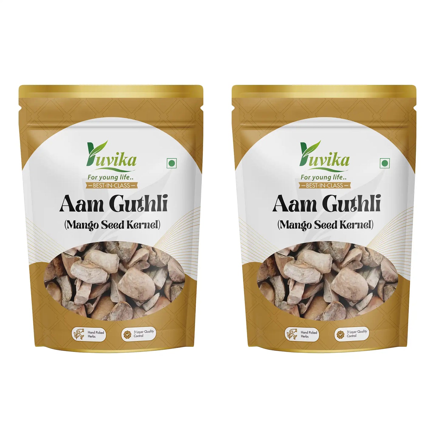 आम गुठली - आम मगज - मेंगीफेरा इंडिका - आम के बीज की गुठली