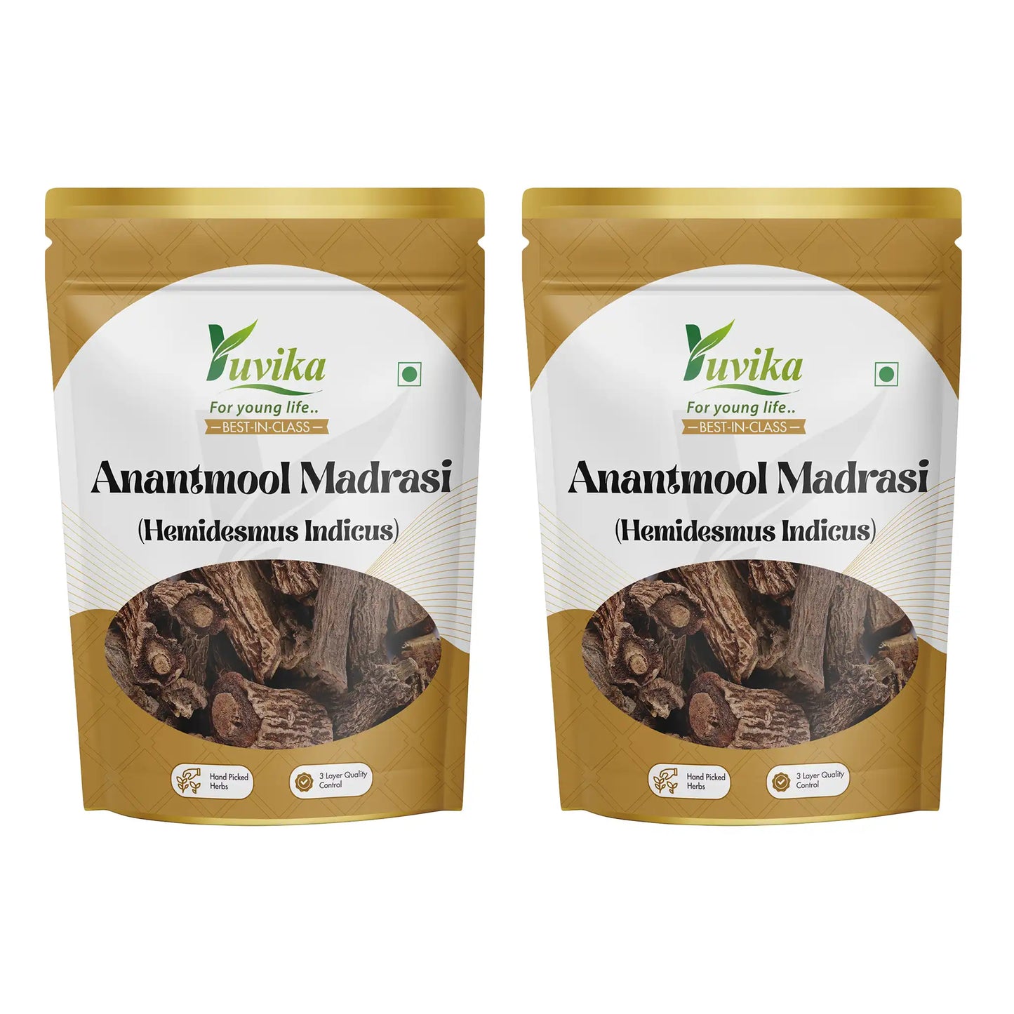 अनंतमूल मद्रासी - सारिवा - हेमिडेसमस इंडिकस - इंडियन सरसापैरिला