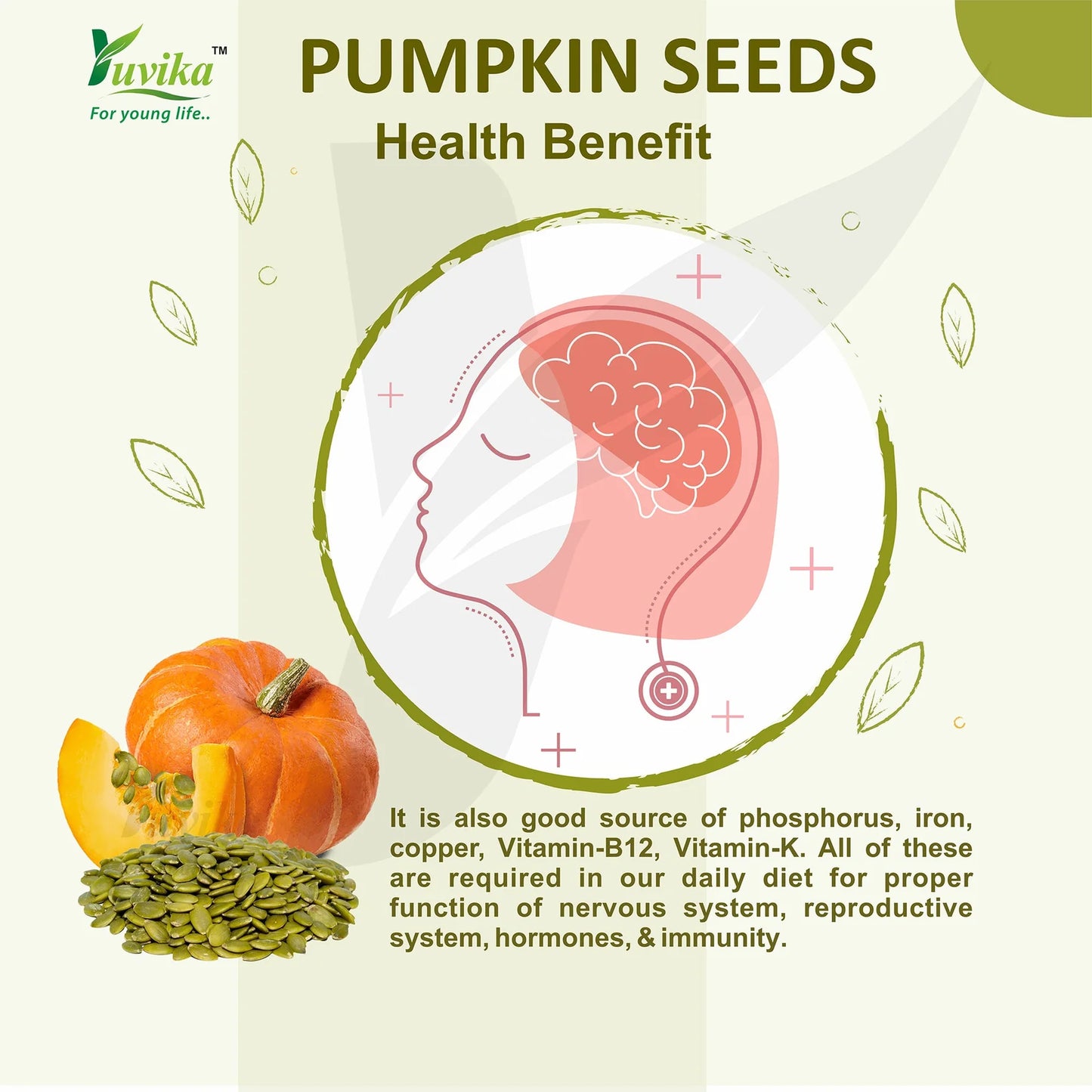 Pumpkin Seeds