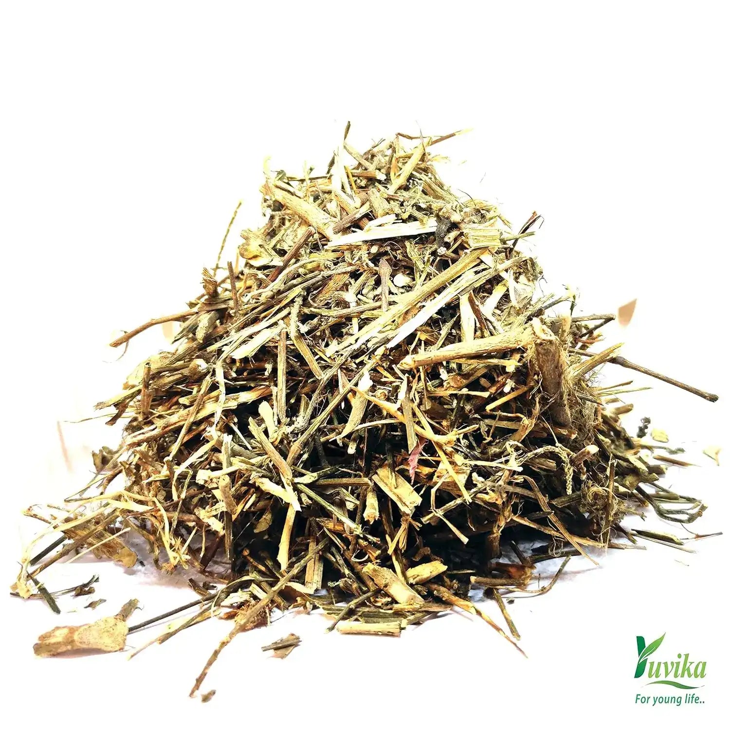 Yuvika Apamarg Panchang