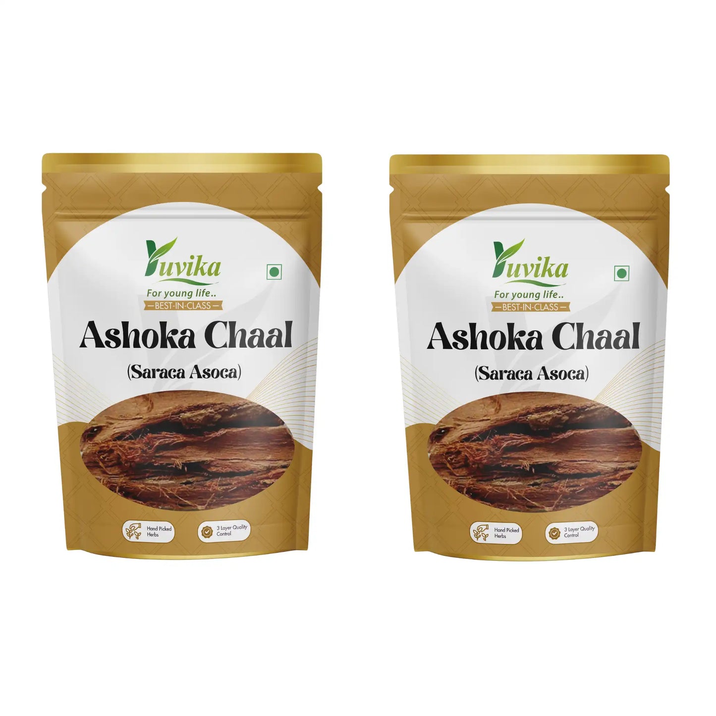 Ashoka Chaal