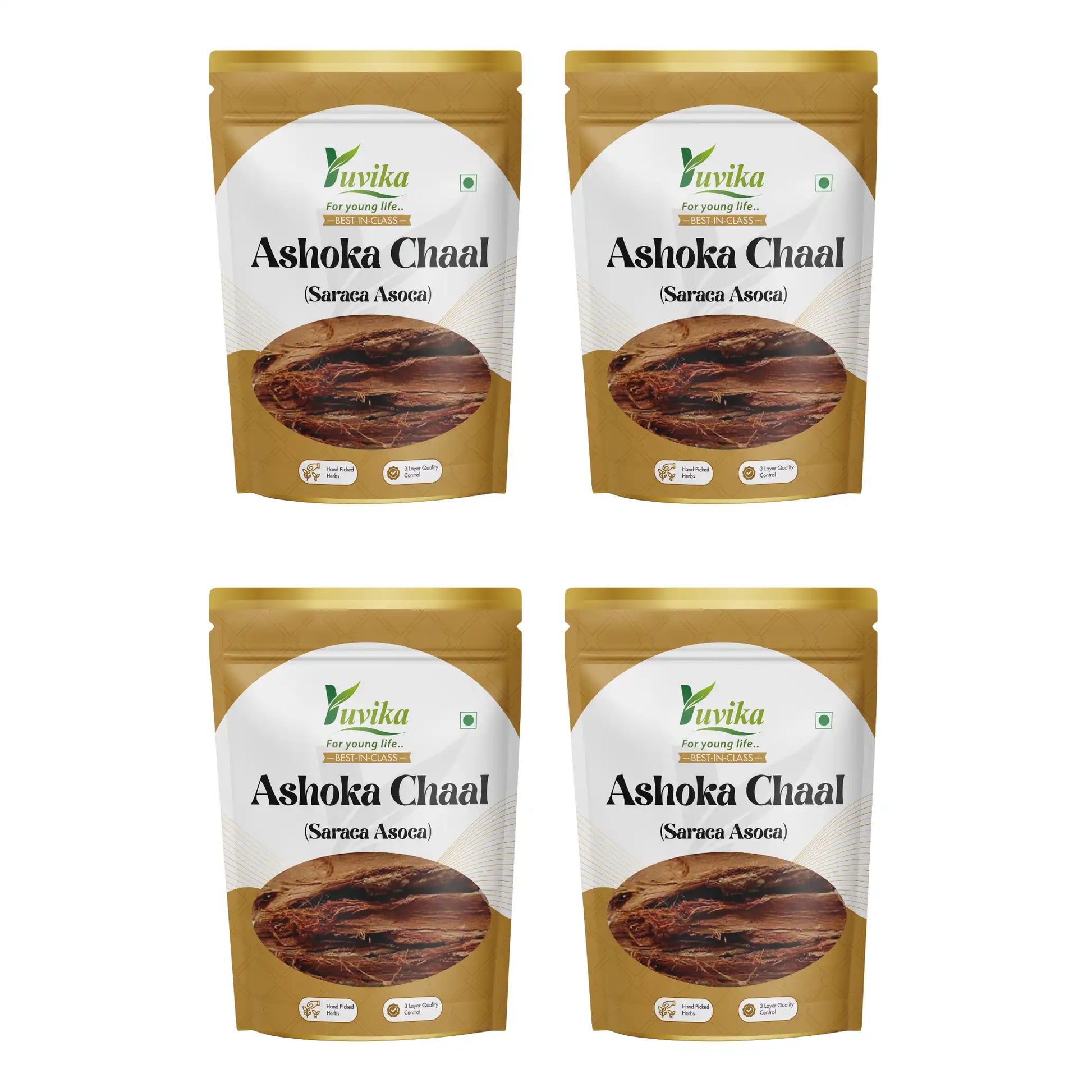 Ashoka Chaal