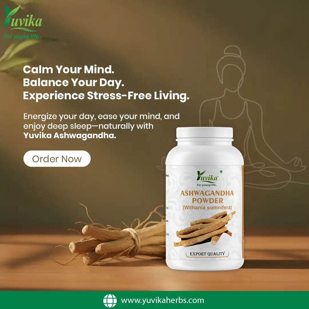 Yuvika Ashwagandha Powder - Asgandh Powder - Withania Somnifera (100g)