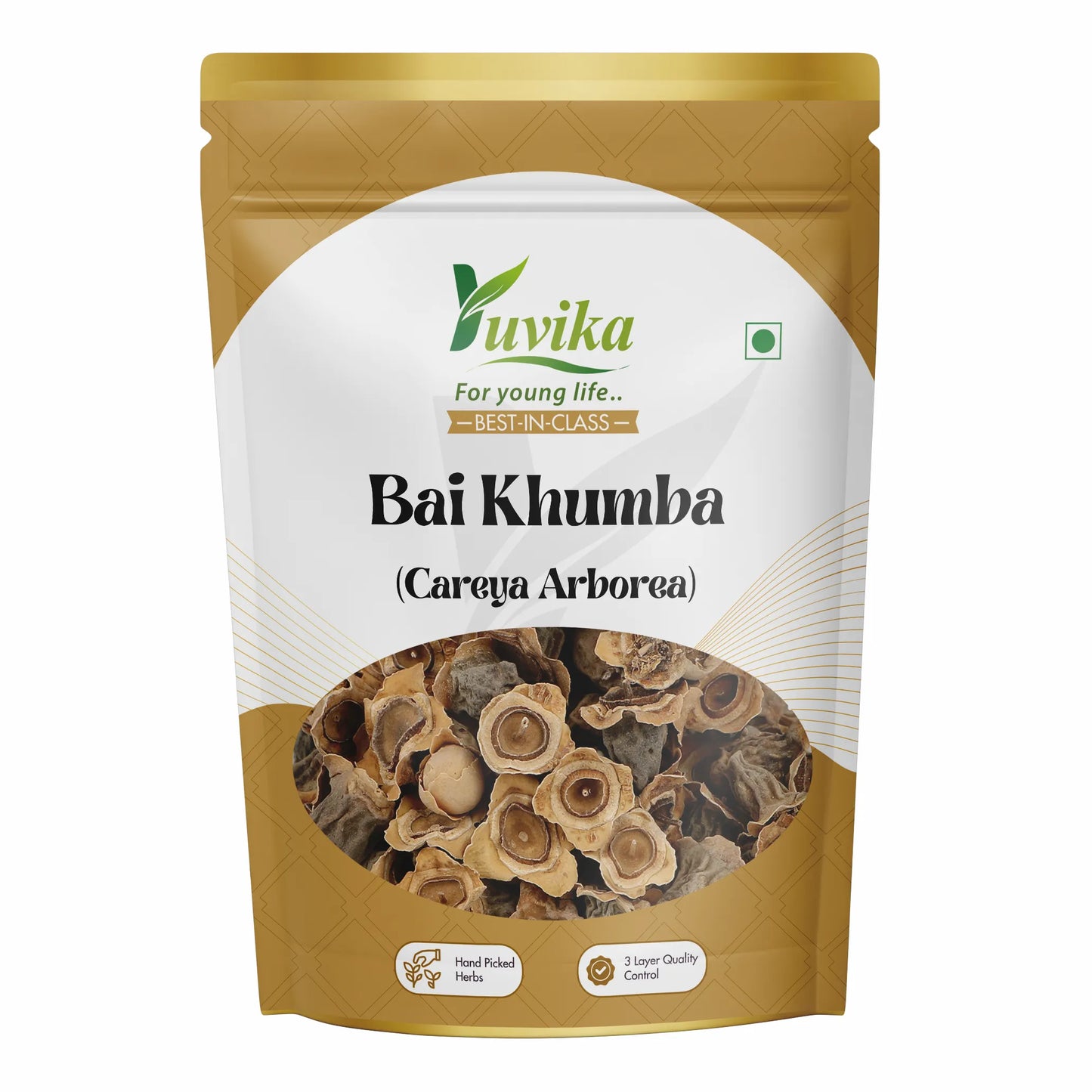 Bai Khumba - Bay Khumba - Careya Arborea