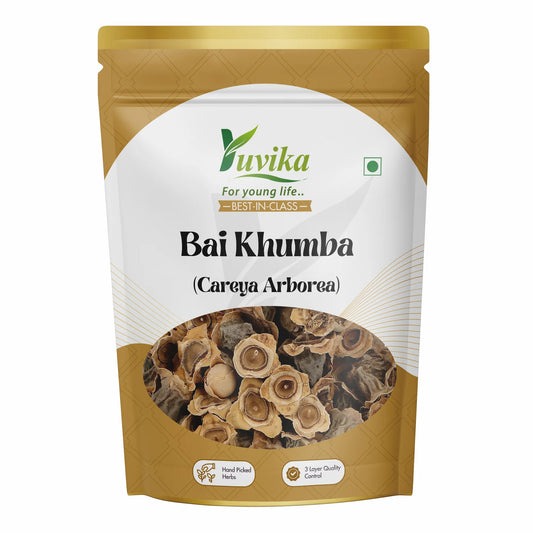 Bai Khumba - Bay Khumba - Careya Arborea