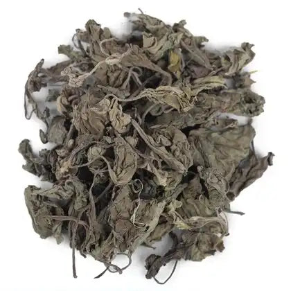 Yuvika Banafasha Sadi