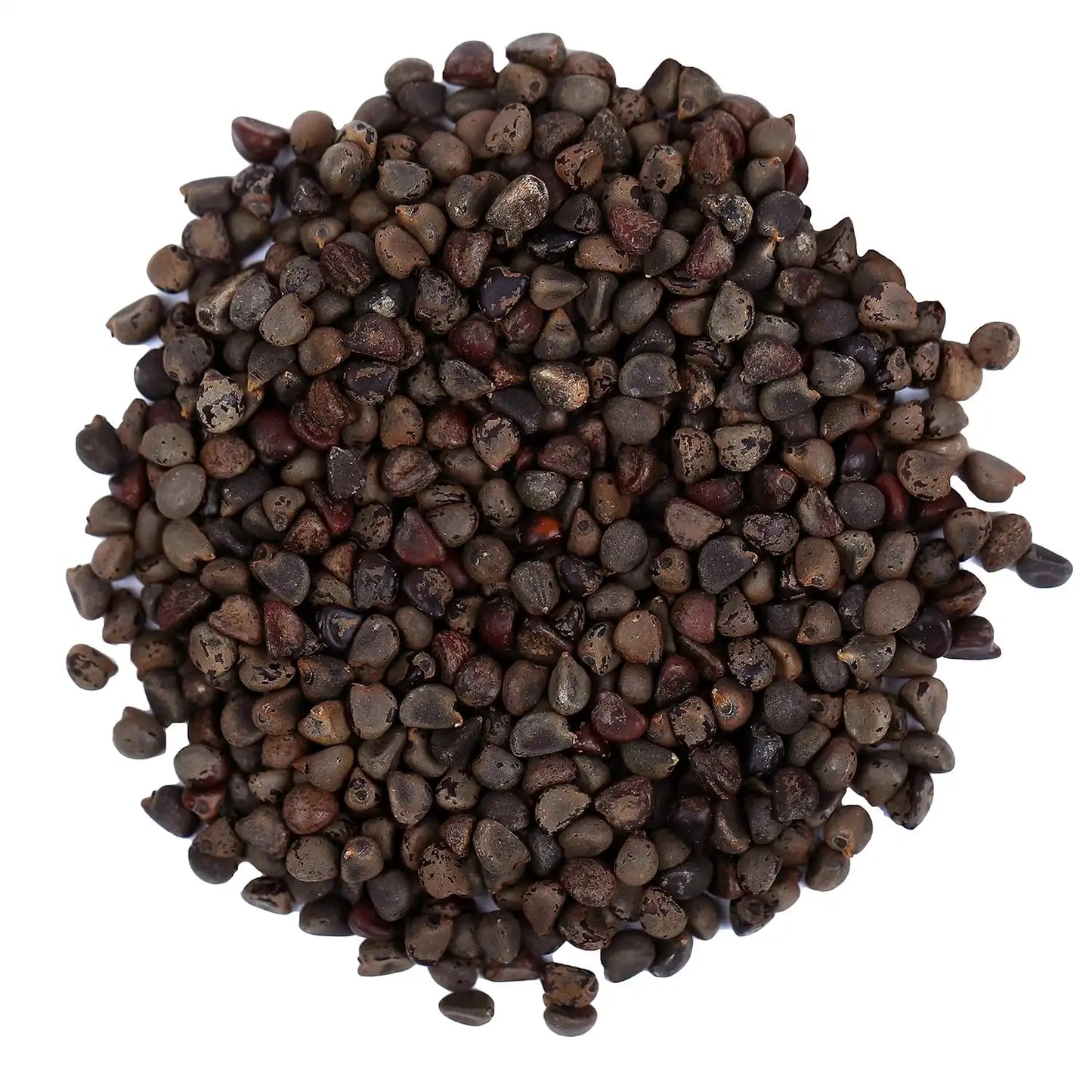 Yuvika Beej Band Kala