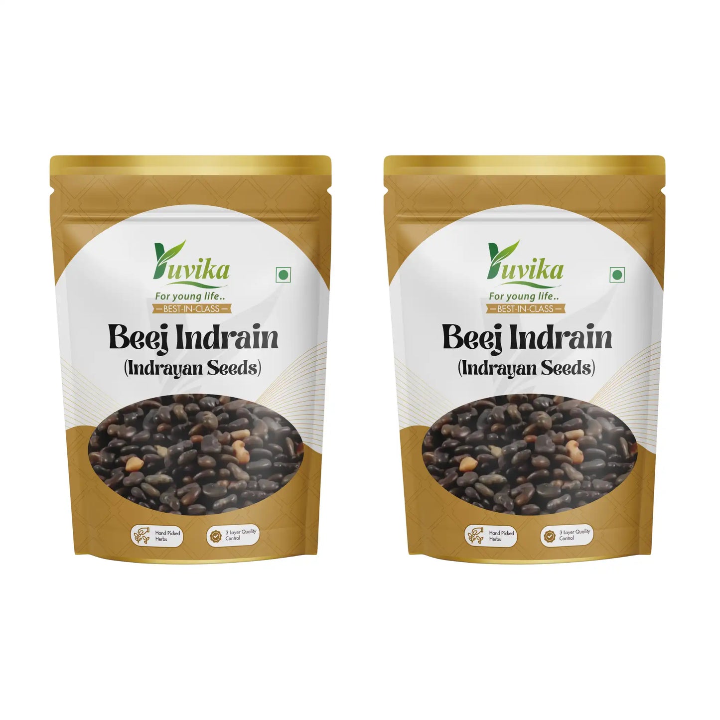 बीज इन्द्रायण - बीज इन्द्रायण - सिट्रुलस कोलोसाइटिस - इन्द्रायण बीज