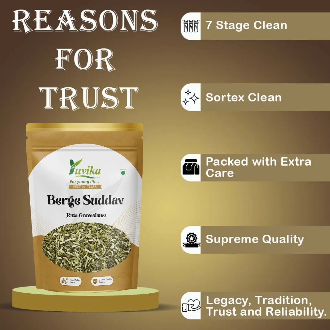 Berge Suddav - Burge Suddab - Berge Sudab - Ruta Graveolens - Garden Rue