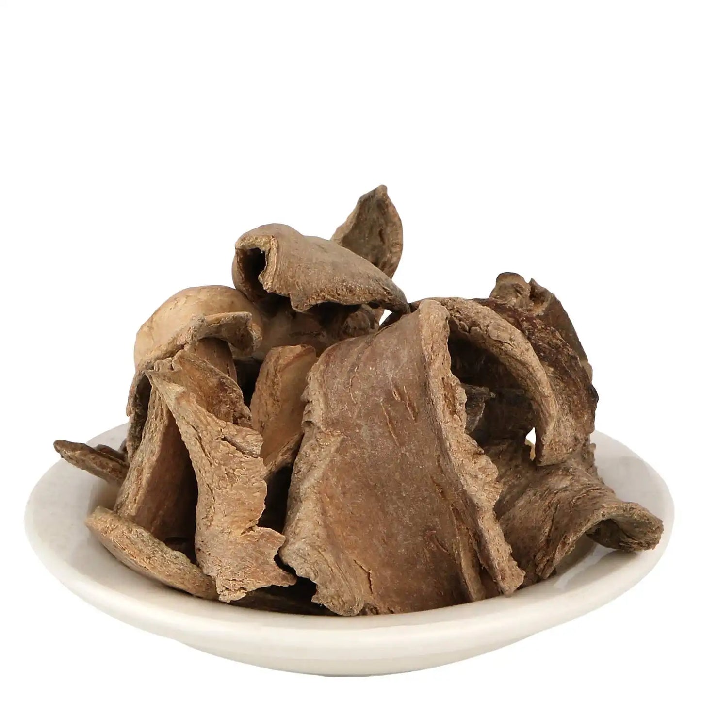 Why Choose Yuvika Bhadangi Chilka