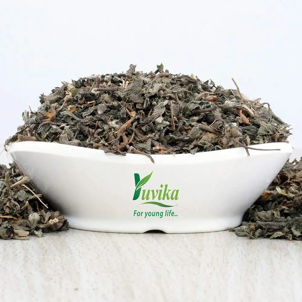 Yuvika Bhringraj Leaves