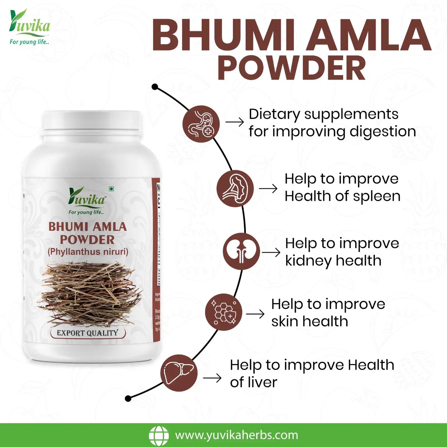 Bhumi Amla Powder