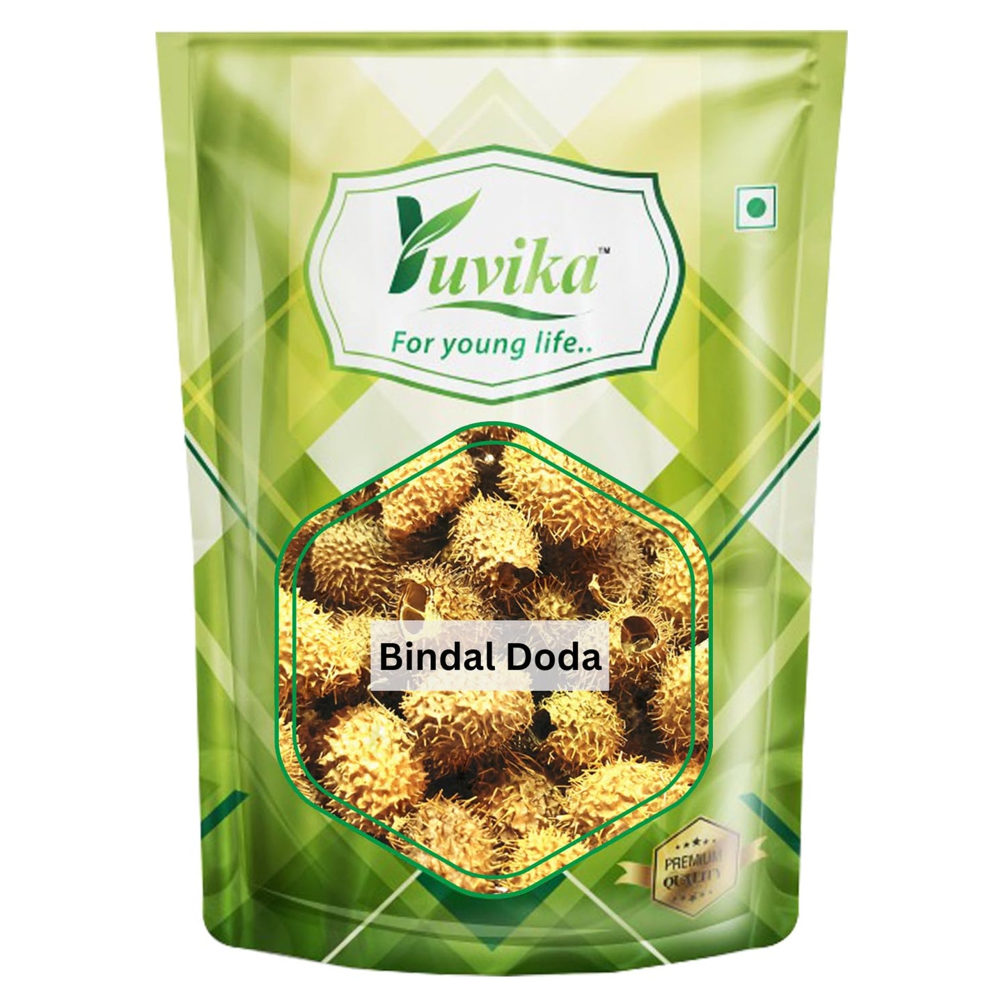 BindalDoda_