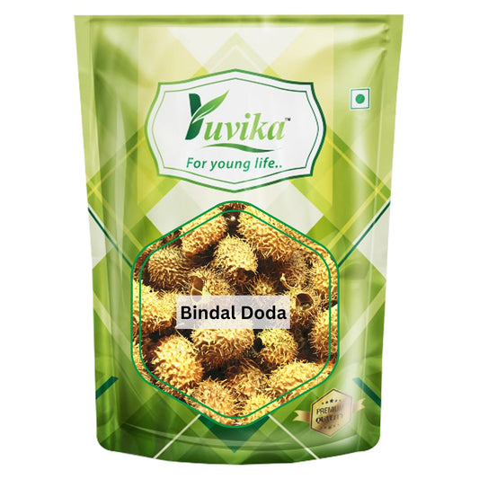 BindalDoda_