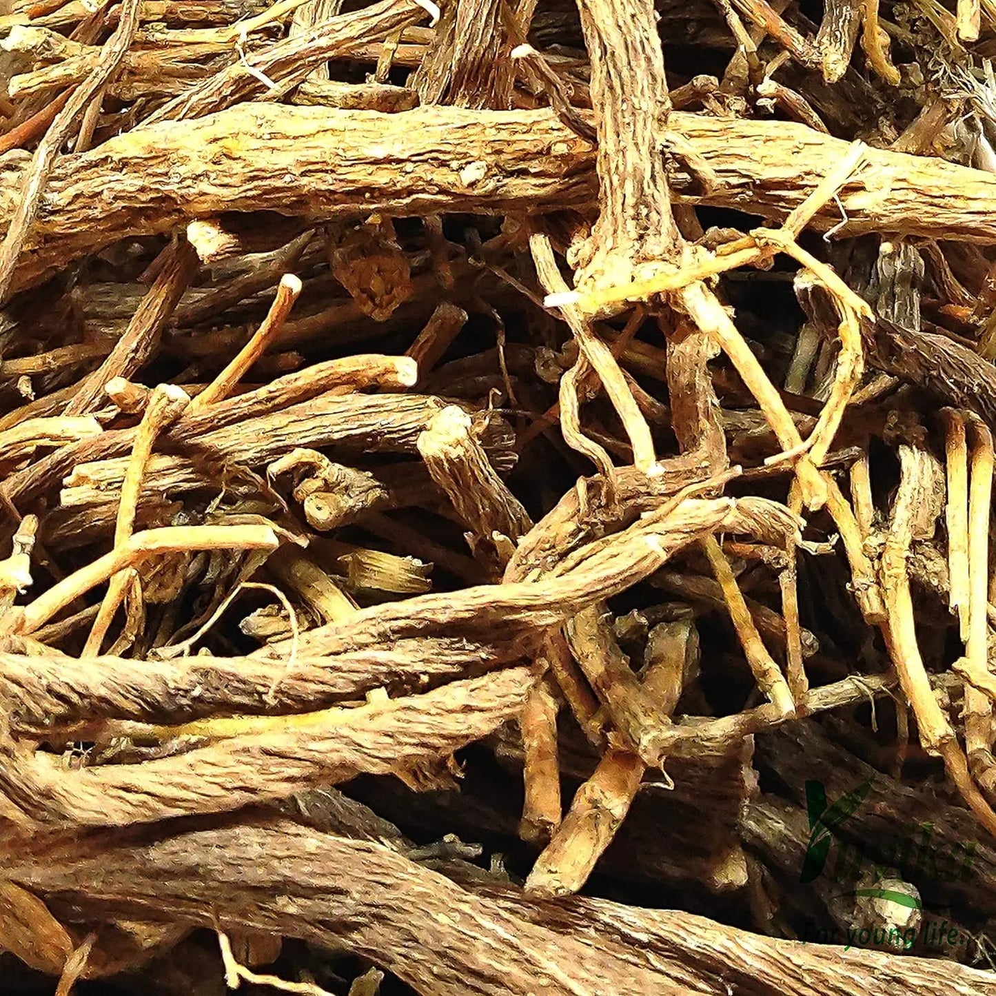 Bojidaan - Tanacetum umbelliferum - Pyrethrum Indicum - Senega Roots ...