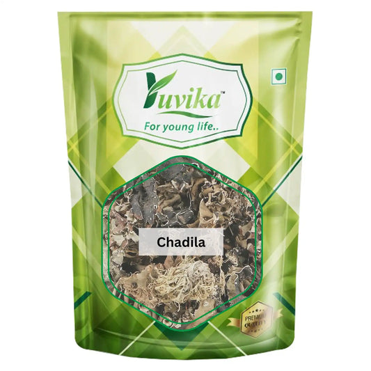Chadila