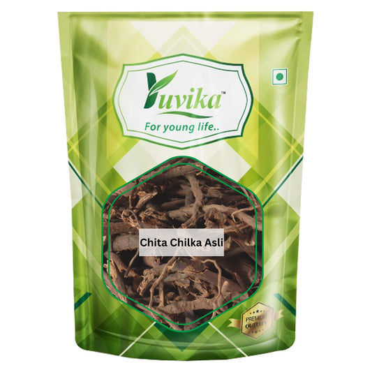 ChitaChilkaAsli