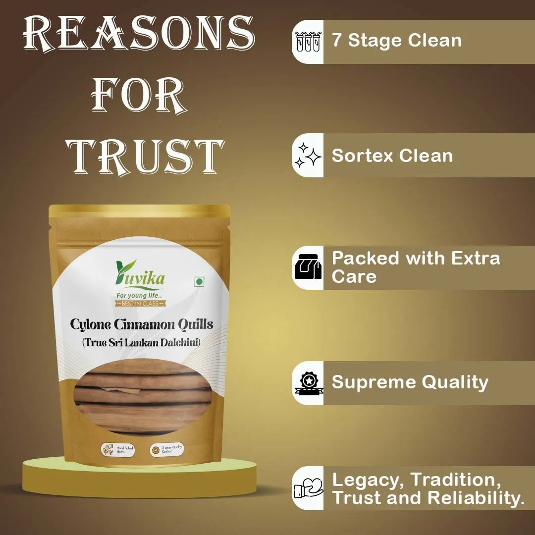 Cylone Dalchini Sticks