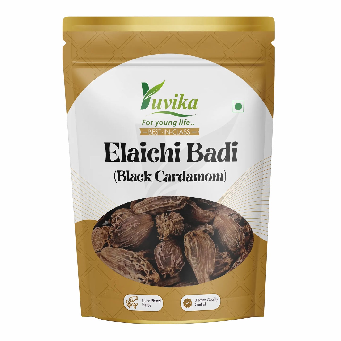 इलाइची बड़ी - इलाइची बड़ी - बड़ी इलाइची - एलेटेरिया इलायची - काली इलायची