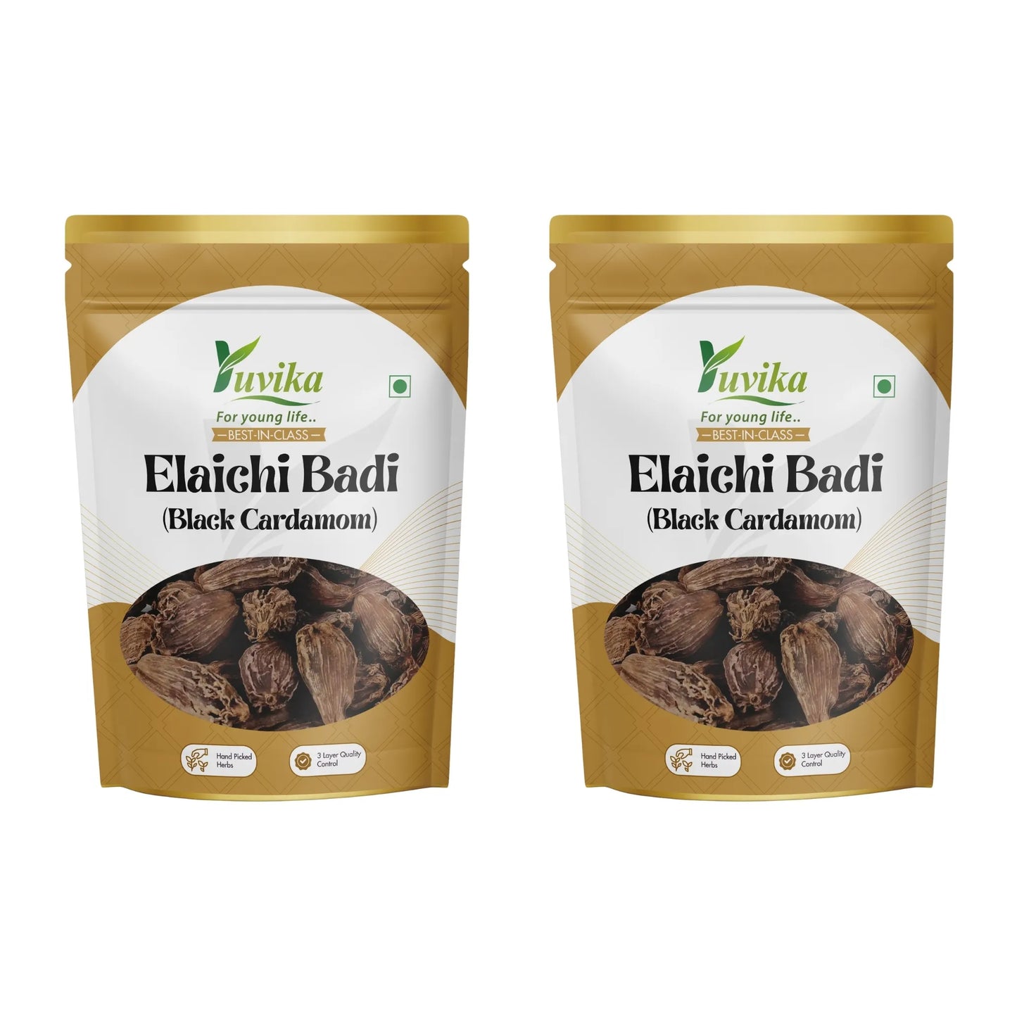 इलाइची बड़ी - इलाइची बड़ी - बड़ी इलाइची - एलेटेरिया इलायची - काली इलायची