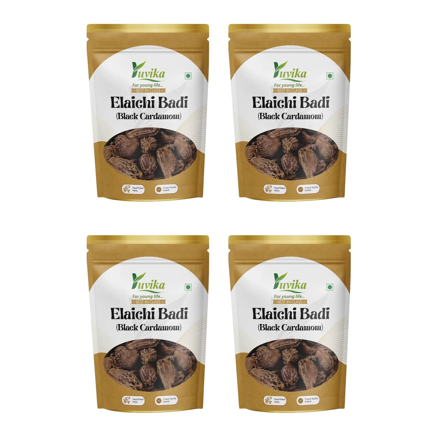 इलाइची बड़ी - इलाइची बड़ी - बड़ी इलाइची - एलेटेरिया इलायची - काली इलायची