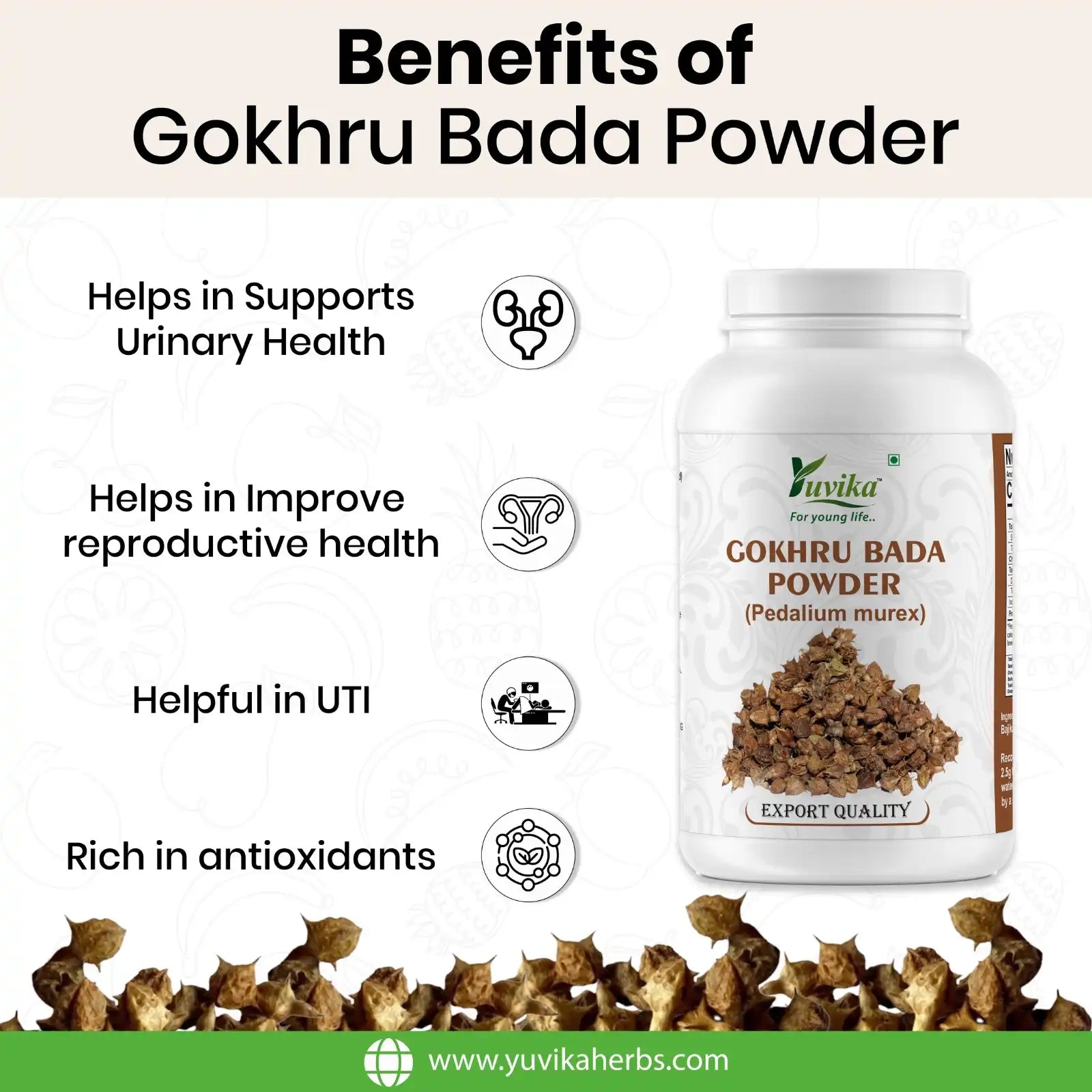 Gokhru Bada Powder