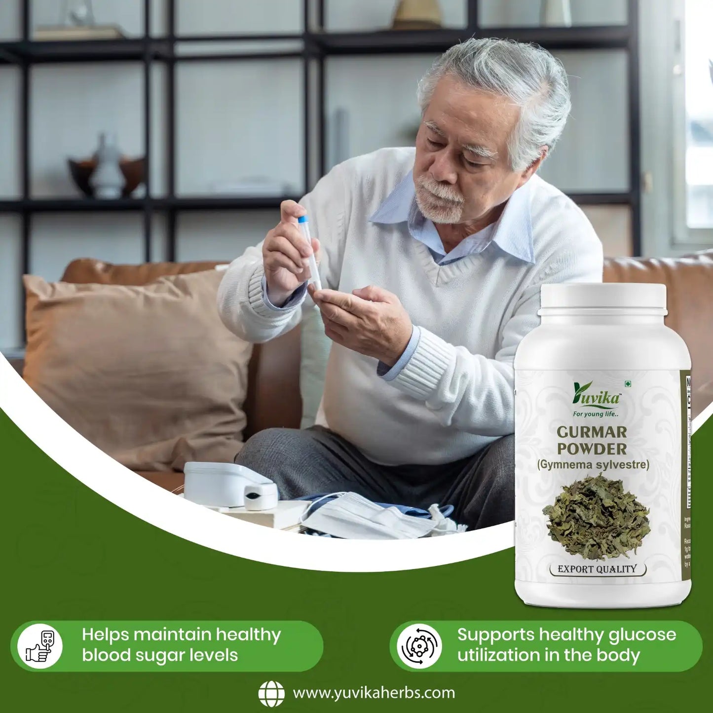 Gurmar Powder
