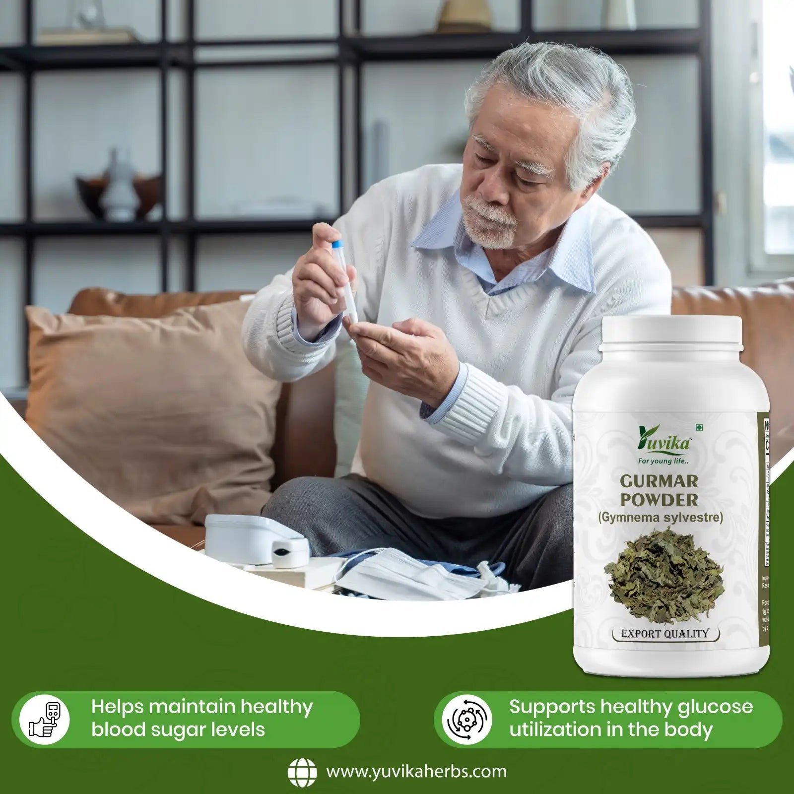 Gurmar Powder