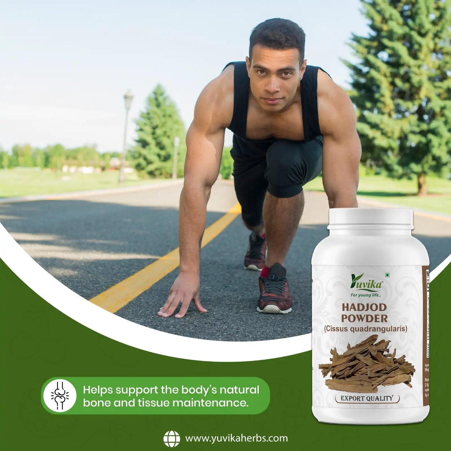 Hadjod Powder