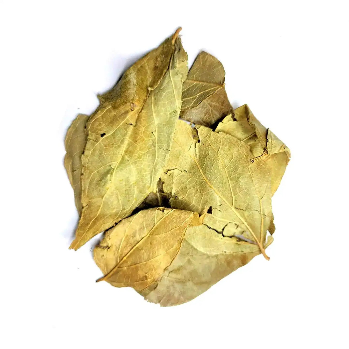 Yuvika Harshringar Patta