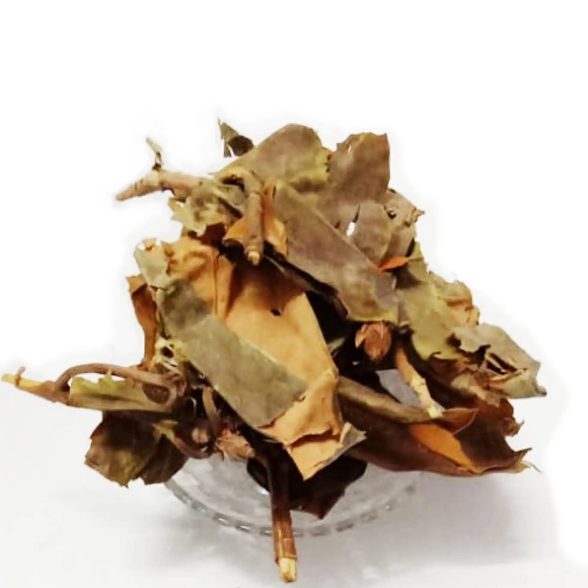 Yuvika Kashmiri Patta