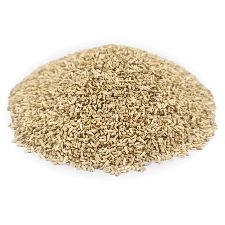 Kasni Seeds 1