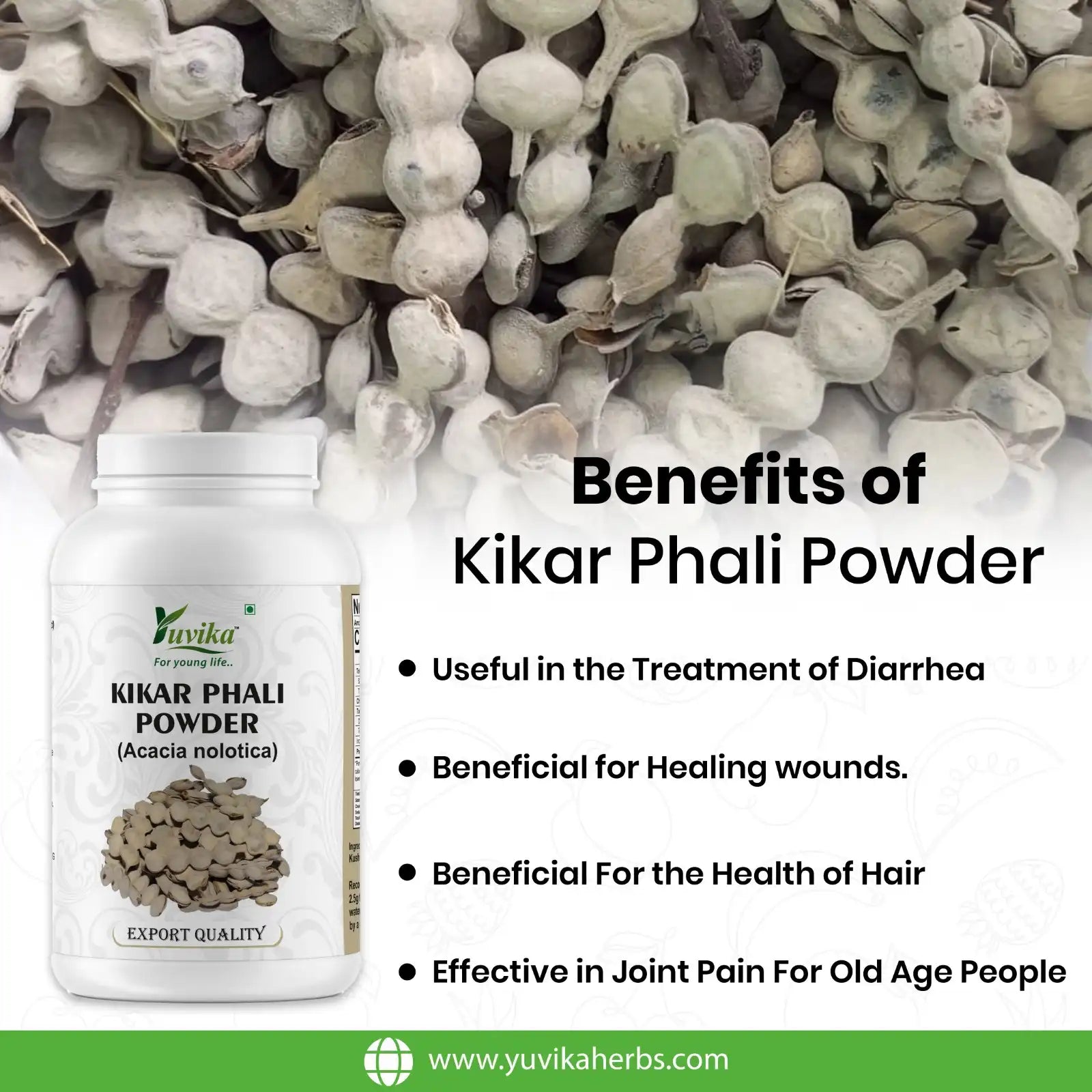 Kikar Phali Powder