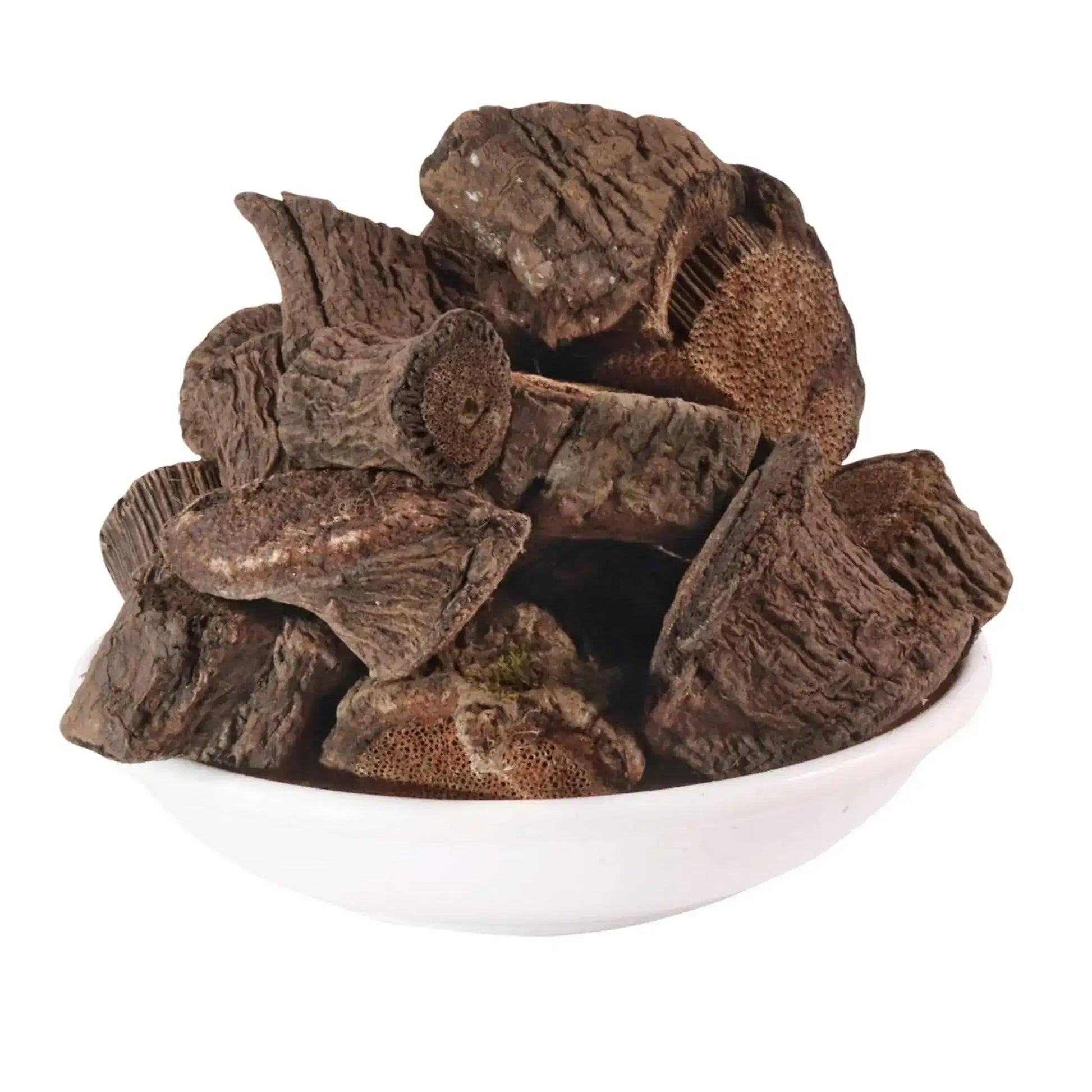 Yuvika Kaunch Ki Jadd