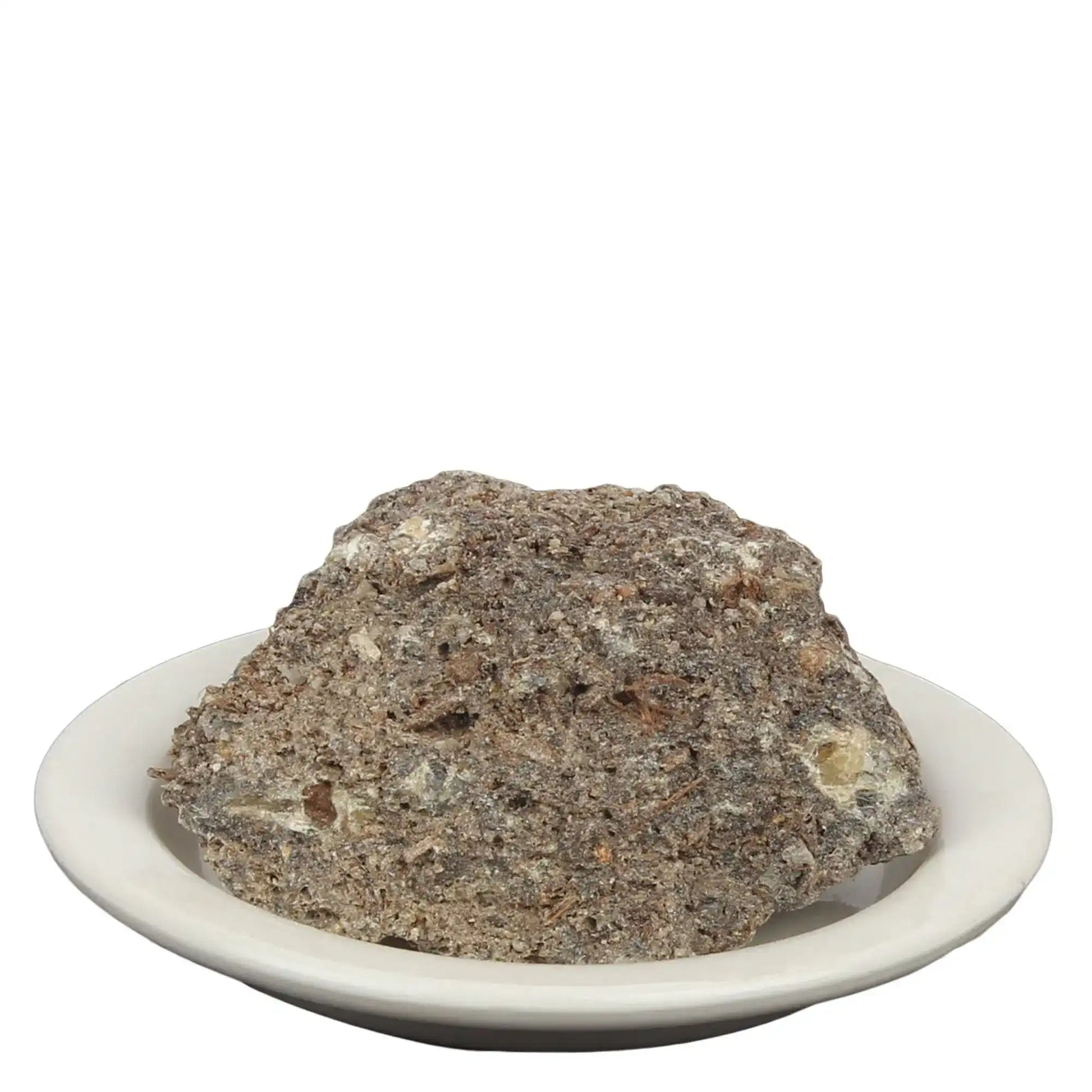 Yuvika Loban Singapuri