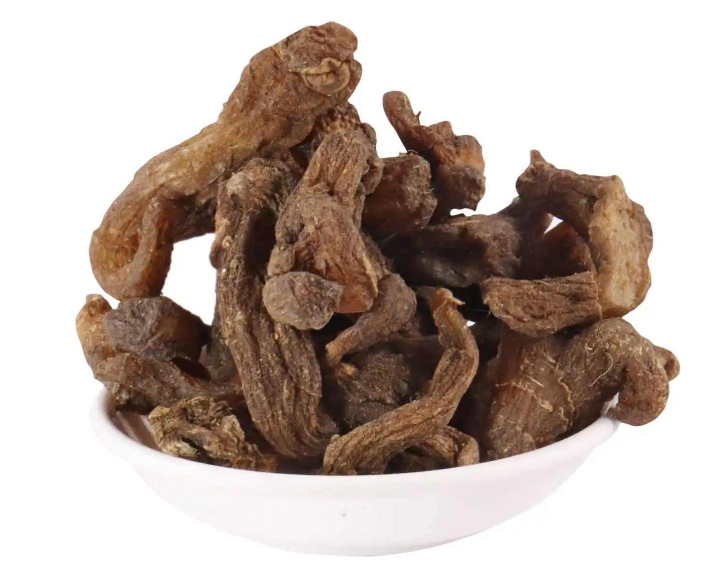 Yuvika Maida Maha Maida