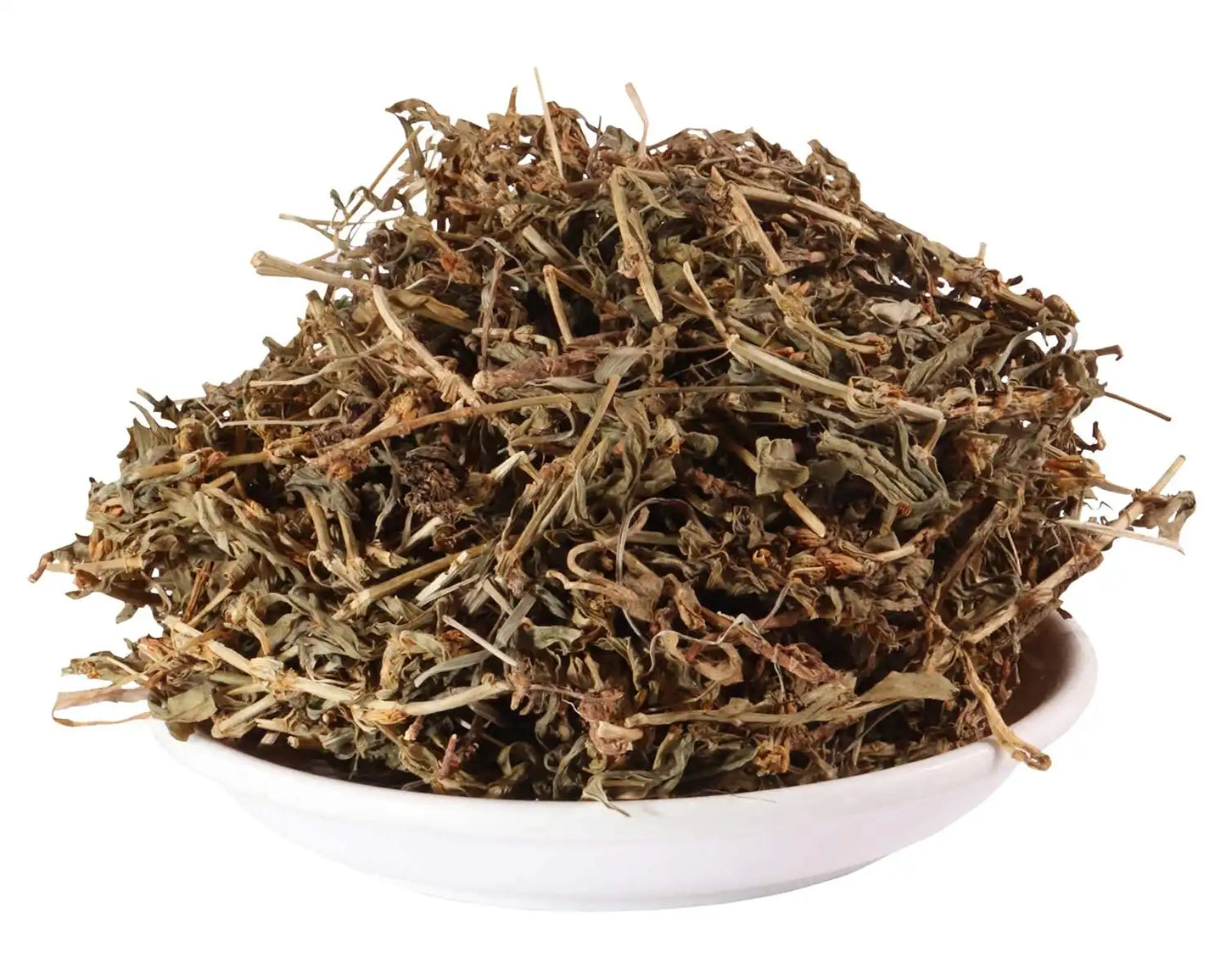 Yuvika Nigandh Bavri