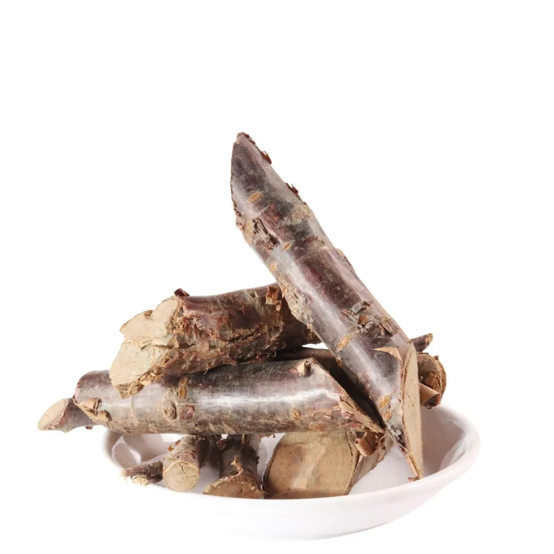 Yuvika Padmakh