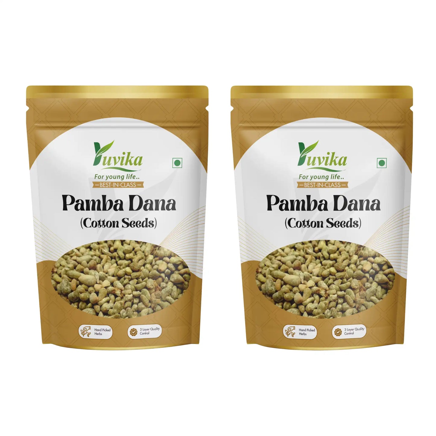 पम्बा दाना - बिनोला गिरी - गॉसिपियम हर्बेशियम - कपास के बीज