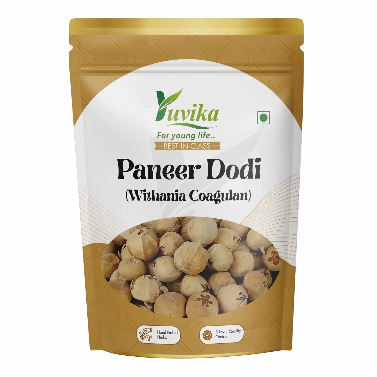 PaneerDodi
