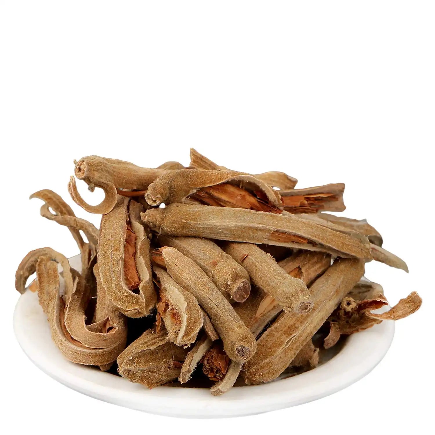 Yuvika Phool Machkan