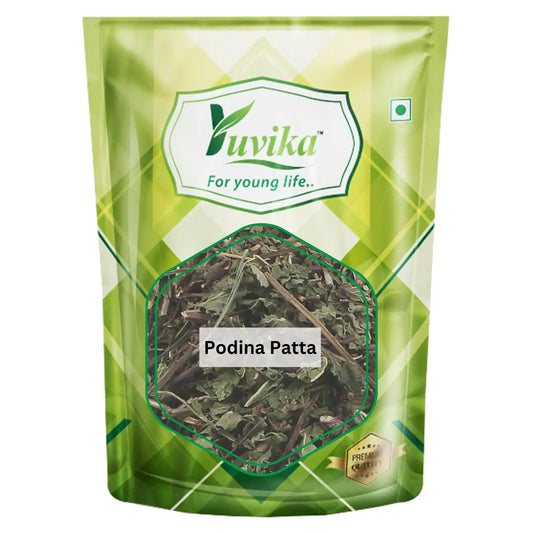 Podina Patta