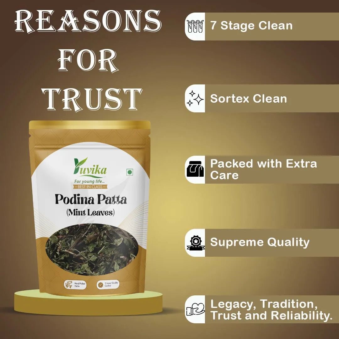 Podina Patta 2