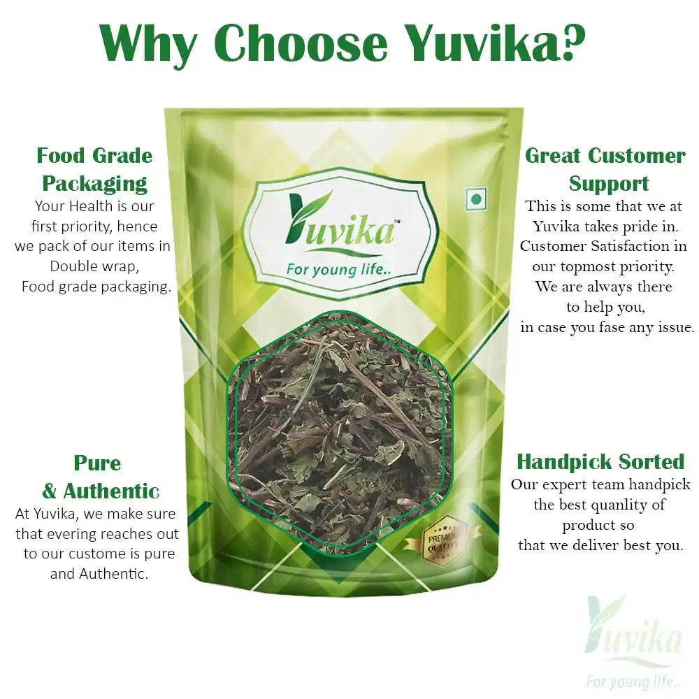 Why Choose Yuvika Podina Patta
