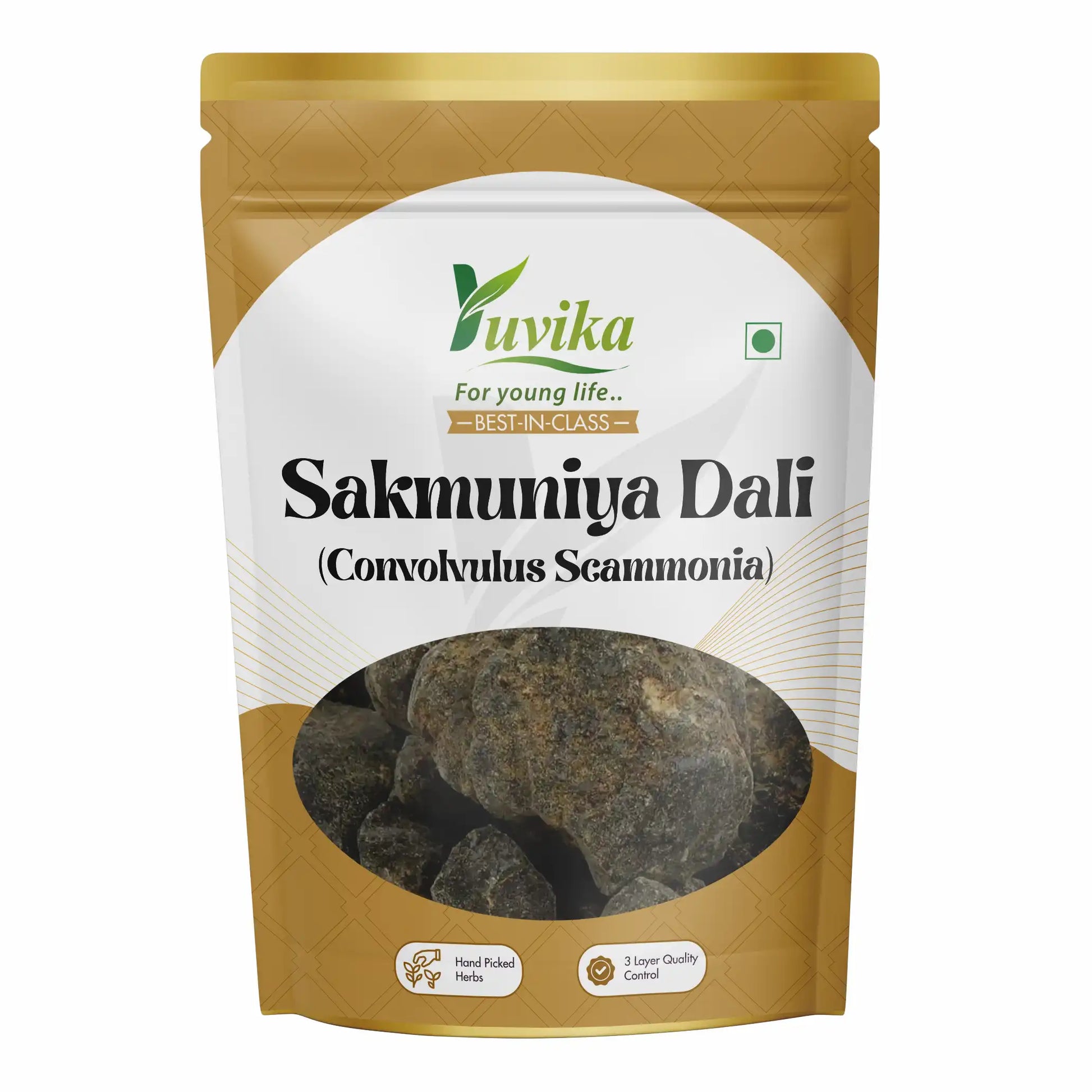 SakmuniyaDali